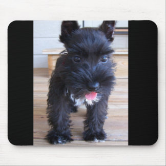 Tapis De Souris Schnauzer miniature