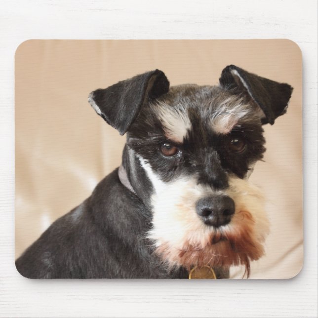 Tapis De Souris schnauzer miniature (Devant)