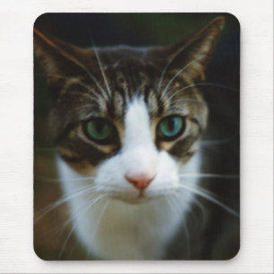TAPIS DE SOURIS SCOOTER