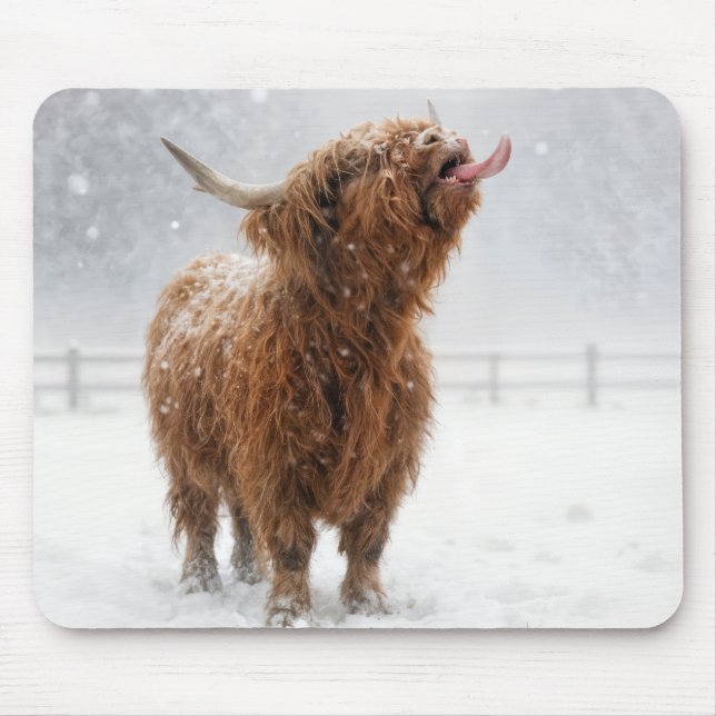 Tapis De Souris Scottish Highland Cow Licking Snowflakes (Devant)