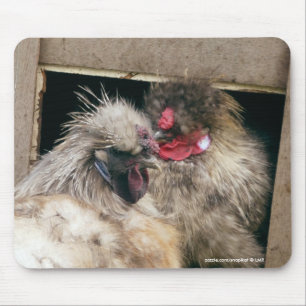 Tapis De Souris Se blottissant des poules de poulets de Silkie -