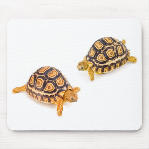 Tapis De Souris Se réunir de tortues