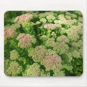 Tapis De Souris Sedum "Joie d'automne"