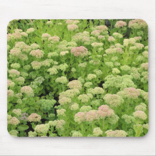 Tapis De Souris Sedum "Joie d'automne"
