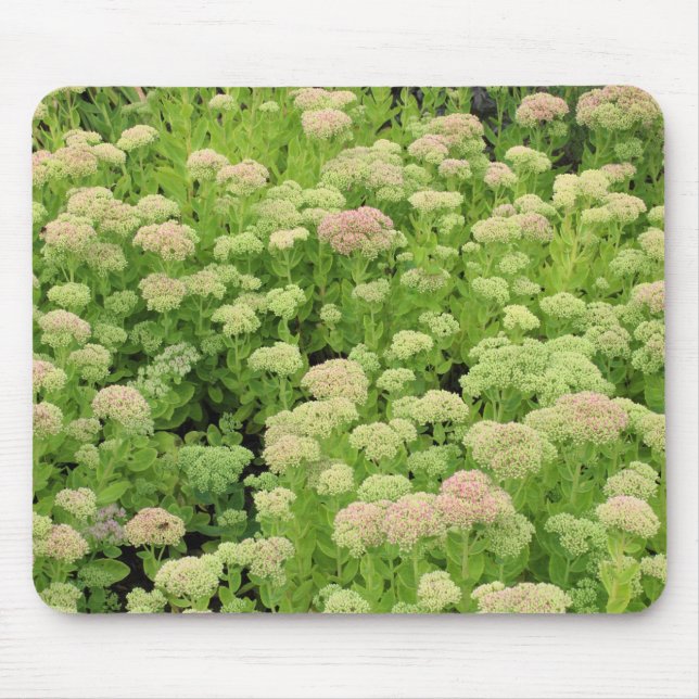 Tapis De Souris Sedum "Joie d'automne" (Devant)