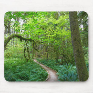 Tapis De Souris Sentier des Forêts anciennes du parc national Olym
