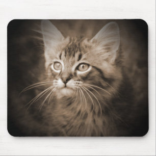 Tapis De Souris Sépia #1 Mousepad de ragondin du Maine