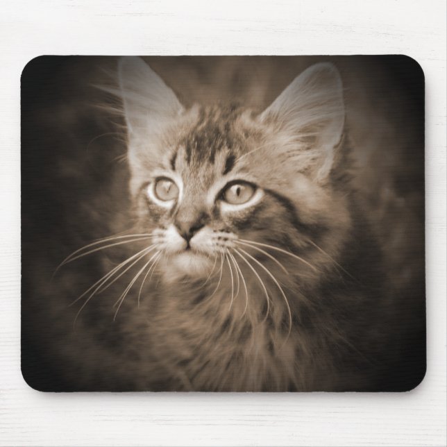Tapis De Souris Sépia #1 Mousepad de ragondin du Maine (Devant)