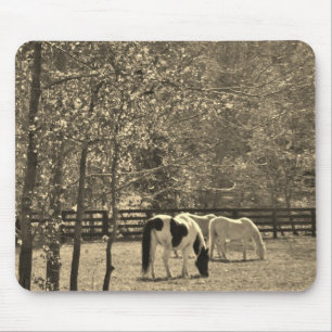 Tapis De Souris Sepia Tone Photo du Cheval