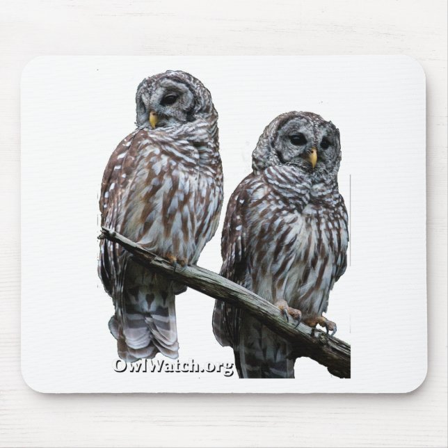 Tapis De Souris Septembre 2014 - Hiboux d'OwlWatch (Devant)