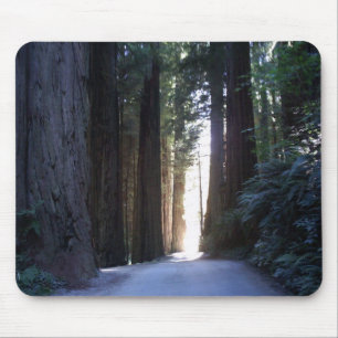 Tapis De Souris Séquoias Mousepad