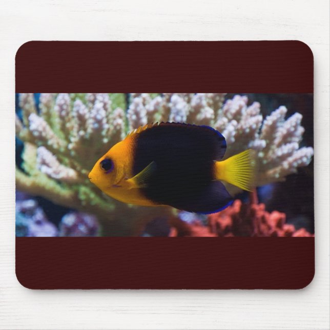 Tapis De Souris Sérénité Mousepad de récif (Devant)