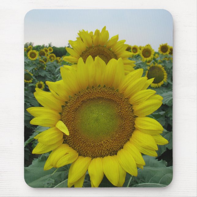 Tapis De Souris Série de tournesols (Devant)
