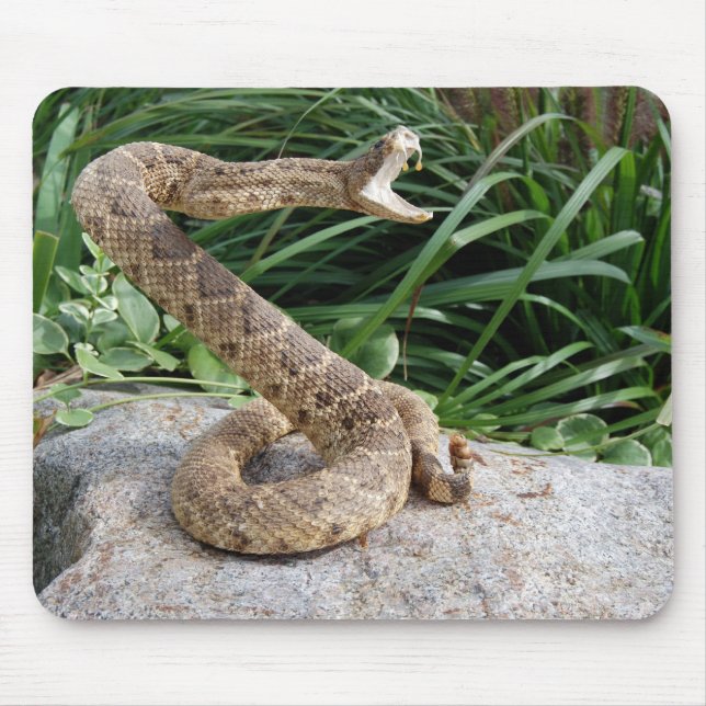 Tapis De Souris serpent de bétail sur une roche (Devant)