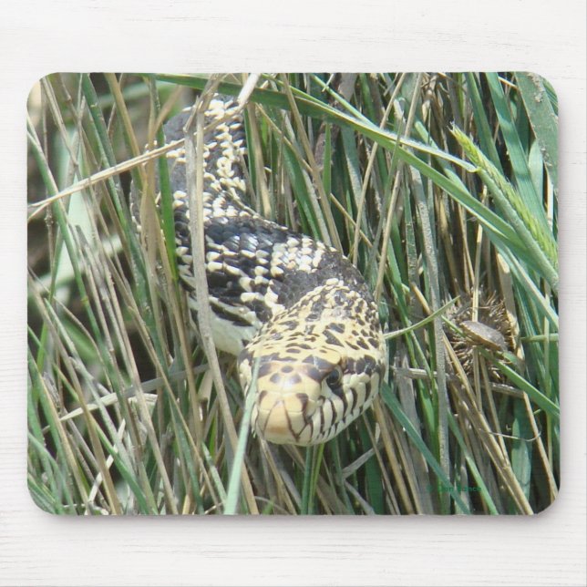 Tapis De Souris Serpent de R4 Taureau dans l'herbe (Devant)