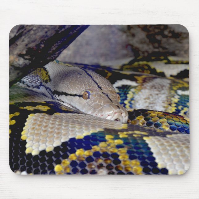 Tapis De Souris Serpent Python réticulé (Devant)