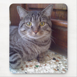 Tapis De Souris Shangel