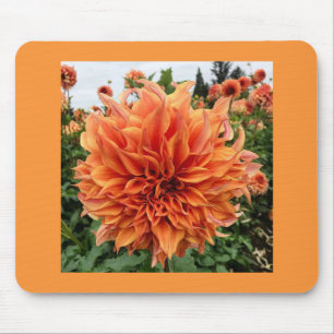 Tapis De Souris Sherwood's Peach Dahlia