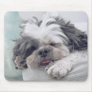 Tapis De Souris shih tzu, chien, animal de compagnie
