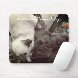 Tapis De Souris Siamese Kitten Est Amoureusement Niché Sur La Tê