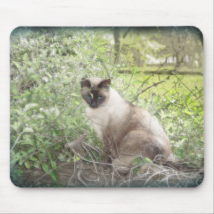 Tapis De Souris Siamois et vignes