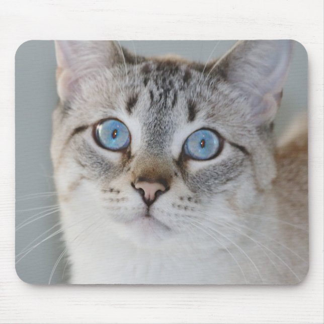 Tapis de souris siamois tigré argenté (Devant)