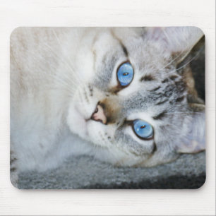 Tapis de souris siamois tigré argenté