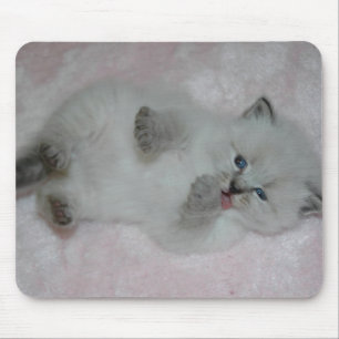 Tapis De Souris SibKitten le plus mignon Mousepad - customisé