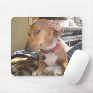 Tapis De Souris Side Eye Dog Mème Souris Pad