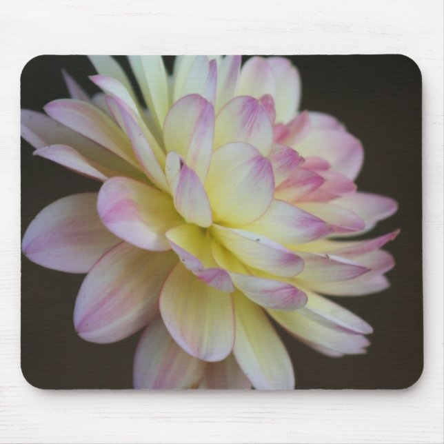 Tapis De Souris Silence (Devant)