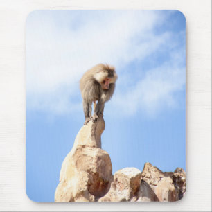 Tapis De Souris Singe babouin au sommet d'une montagne