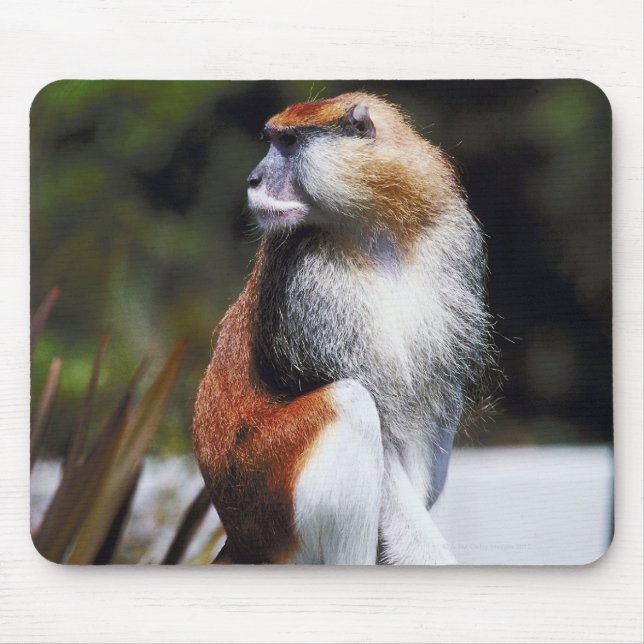 Tapis De Souris Singe de Patas (Devant)