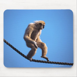 Tapis De Souris singe marchant sur la corde