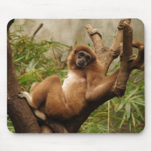 Tapis De Souris Singe Mousepad