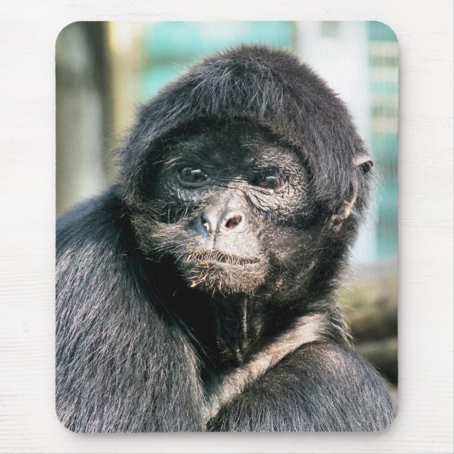 TAPIS DE SOURIS SINGES (Devant)