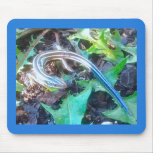 Tapis De Souris Skink Cinq-Rayé sur le pissenlit laisse horizonta