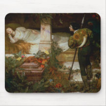 Sleeping Beauty (Prince Charming and His Princess)