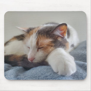 Tapis De Souris Sleeping calico