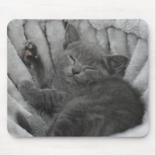 Tapis De Souris Sleepy kitty