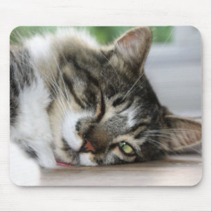 Tapis De Souris Sleepy Zorro Kitty Souris Pad