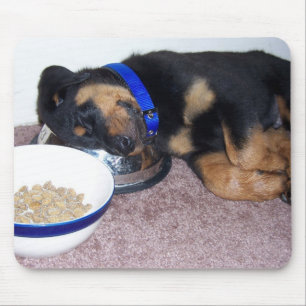 Tapis De Souris sleepyhead rottweiler.