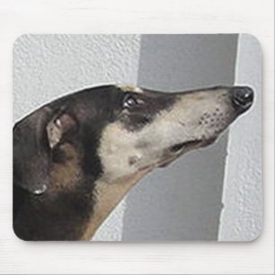 Tapis De Souris sloughi.png