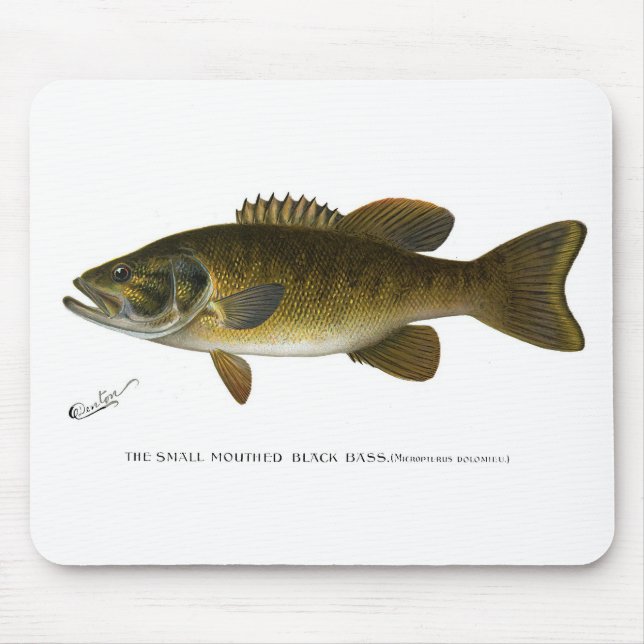 Tapis De Souris Smallmouth bass (Devant)