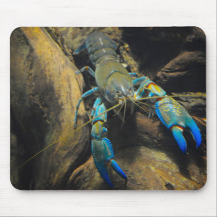 Tapis De Souris Smooth Yabby