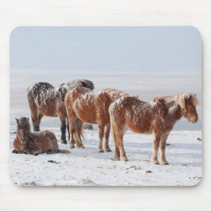 Tapis De Souris Snow Covered Icelandic Horses