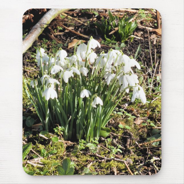 TAPIS DE SOURIS SNOWDROPS (Devant)