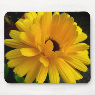 Tapis De Souris Soleil couchant !