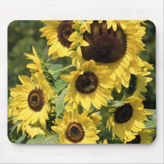 Tapis De Souris Soleil sur des tiges
