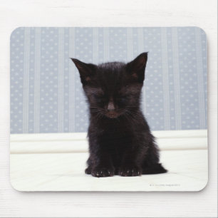 TAPIS DE SOURIS SOMMEIL NOIR DE CHATON