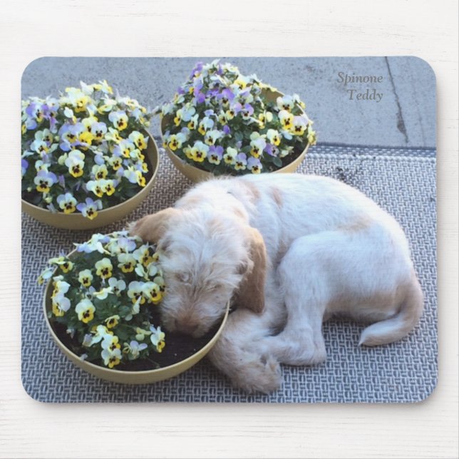 Tapis De Souris Sommeil w/Pansies de ~ de nounours de ~ de (Devant)
